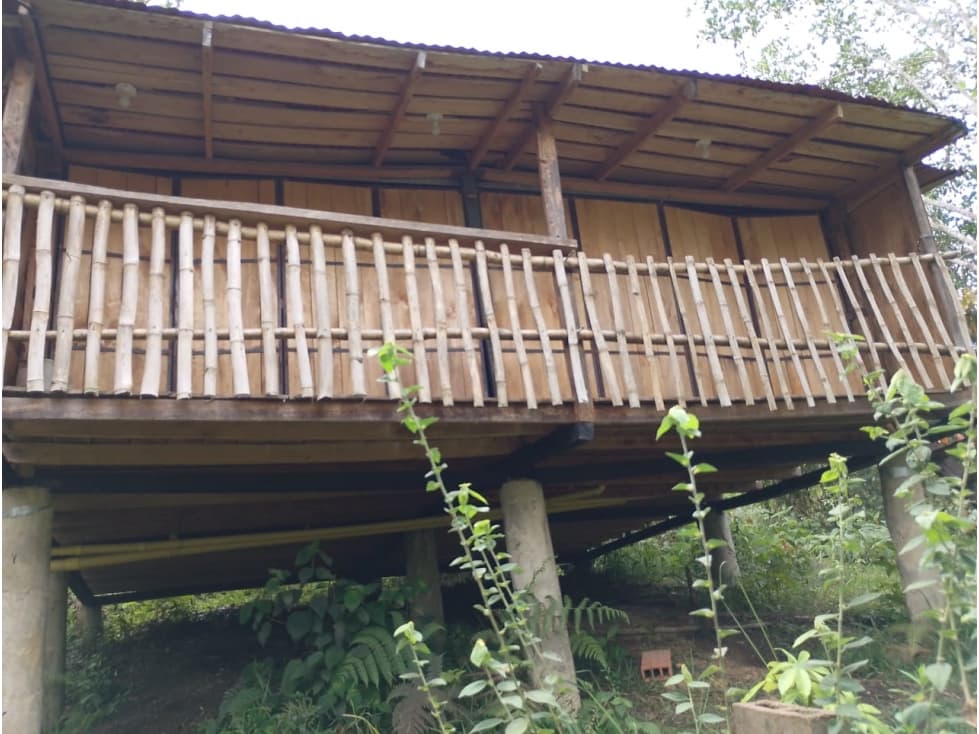 VENTA CABAÑA Y LOTES SAN ROQUE ANTIOQUIA - 1