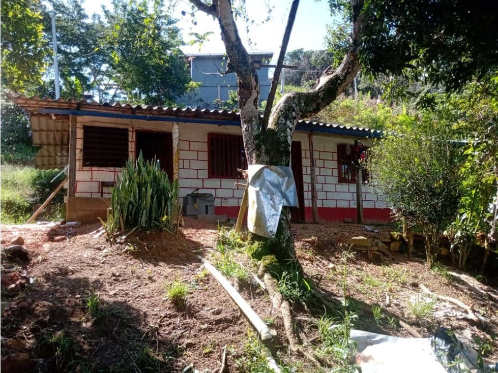 FINCA 6.700 MTS2 SAN ROQUE ANTIOQUIA - 1