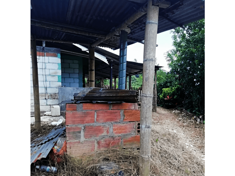 VENTA DE FINCA PRODUCTORA 15 HECTÁREAS EN SAN ROQUE ANTIOQUIA - 1