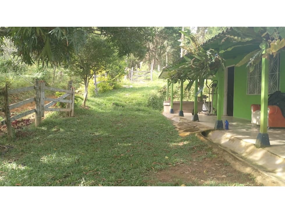 FINCA AUTOSOSTENIBLE 9 HECTAREAS SAN ROQUE ANTIOQUIA - 1