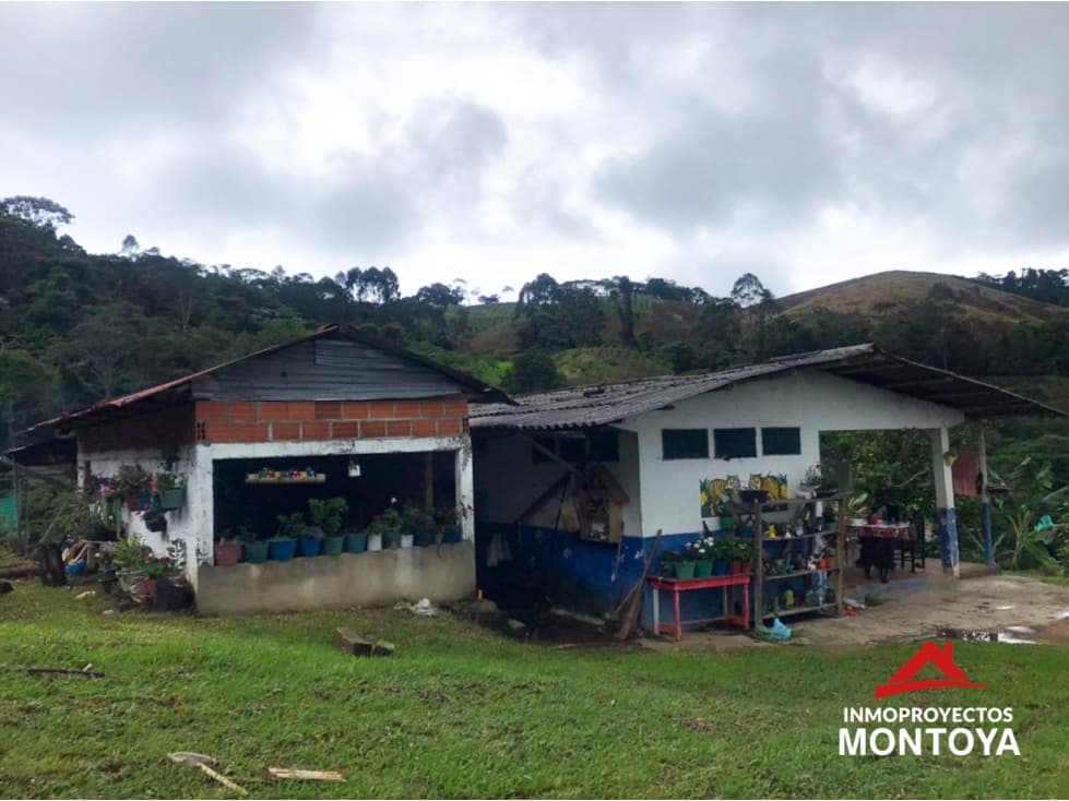 Finca cafetera tecnificada en Marsella, Risaralda - 1