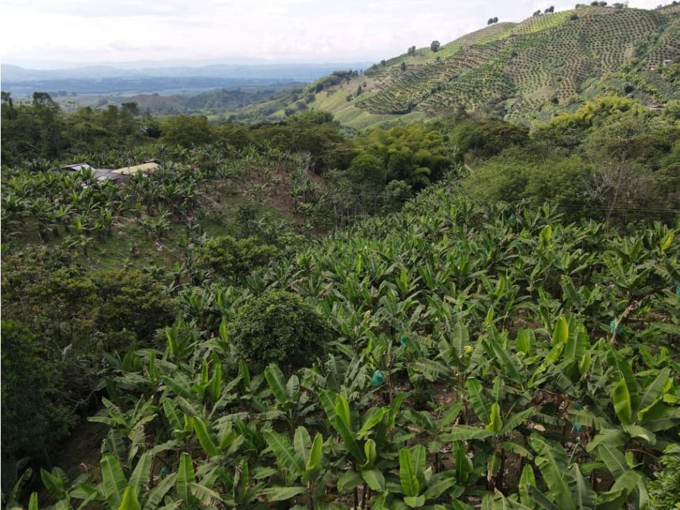 LOTE EN VENTA UBICADO EN BUENAVISTA QUINDÍO IDEAL PARA USO TURÍSTICO - 1