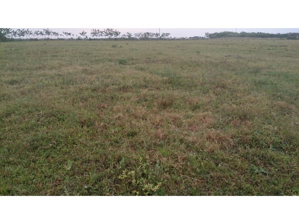 ¡Oportunidad única! Lote plano en Cerritos, un sector valorizado - 1