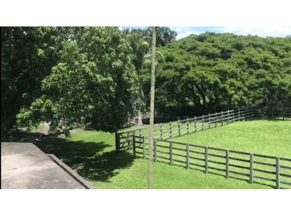 Hermosa finca en La Pintada para Reconstruir en Precio oportunidad - 1