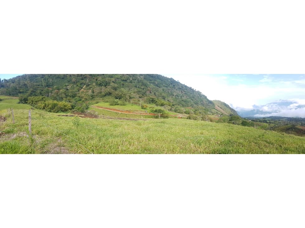 LOTES EN VENTA EN EL SUROESTE ANTIOQUEÑO - 1