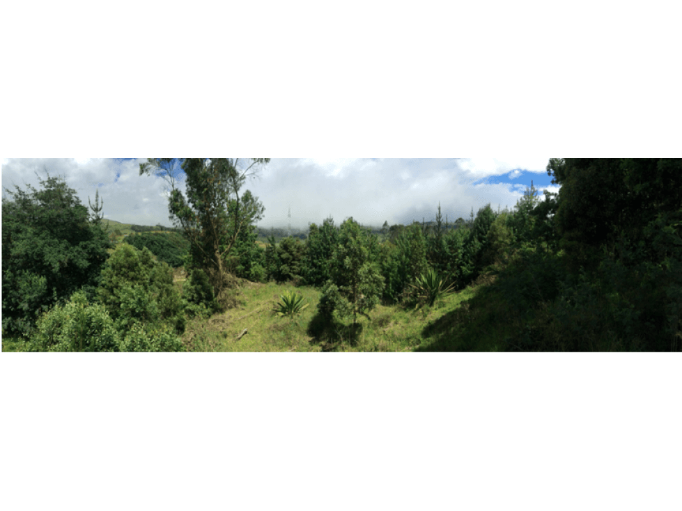 Vendo linda finca con potencial 6 fanegadas en Bojacá, C/marca. - 1