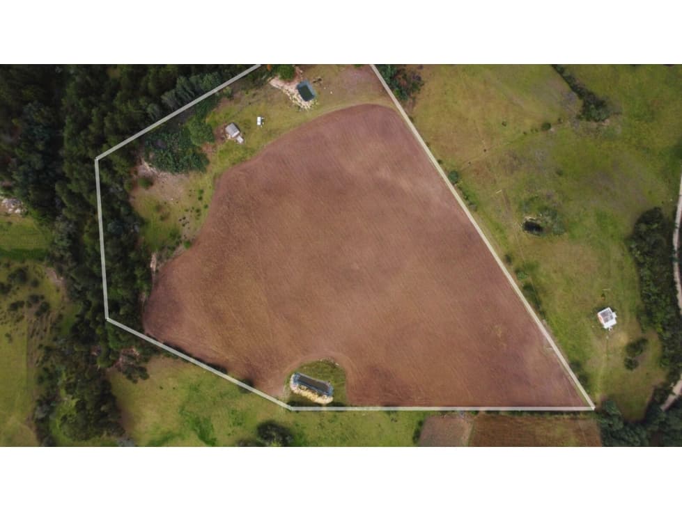 FINCA EN VENTA EL HATO TUTA BOY - 1