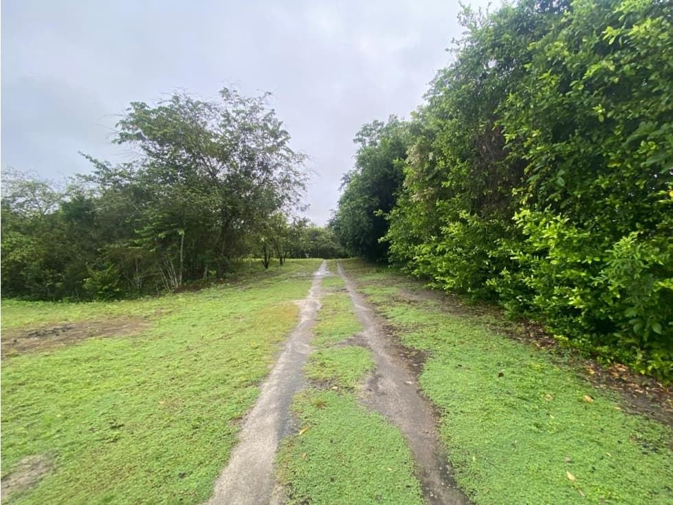 Lote para inversionistas con area de 22.497 m" - 1