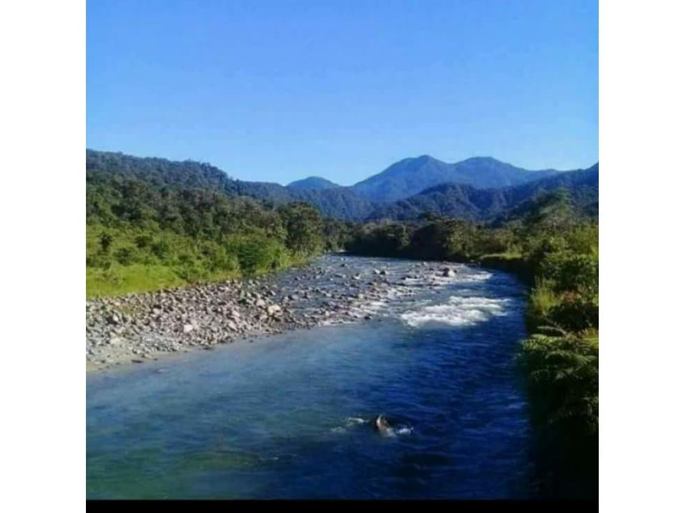 Terreno en el Carmen de Atrato Choco - En Venta - 1