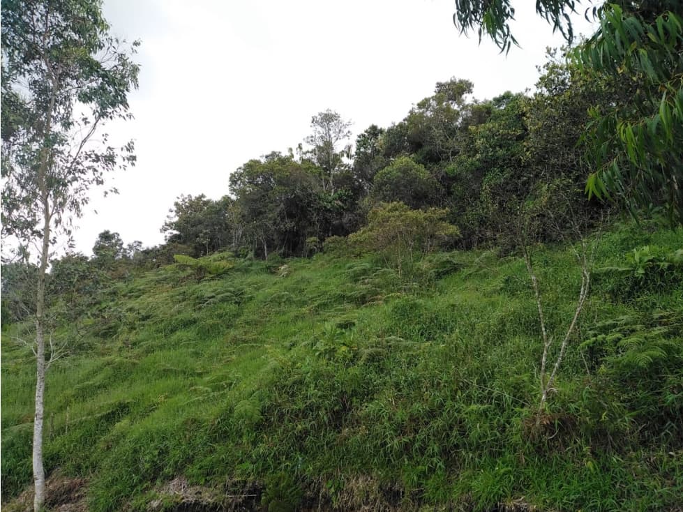 Lote En San Vicente Ferrer Vereda Peñolcito - Se Vende - 1