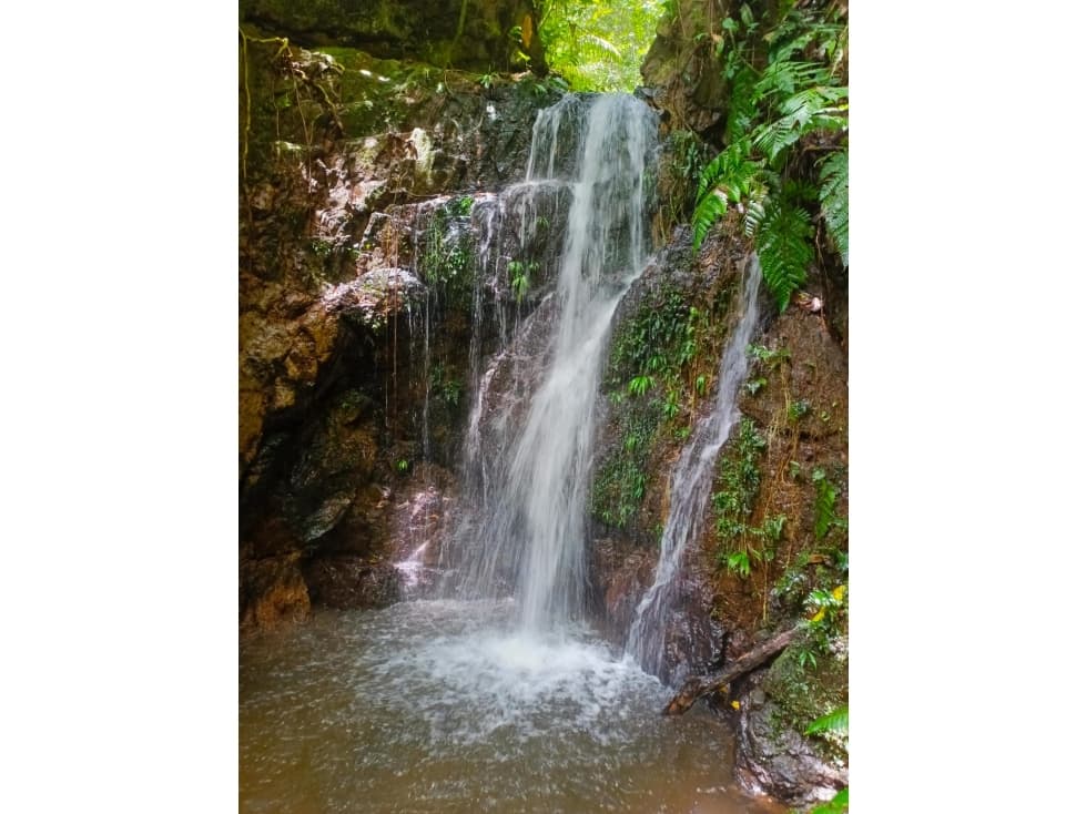 LOTE EN SAN CARLOS ANTIOQUIA - EN VENTA - 1