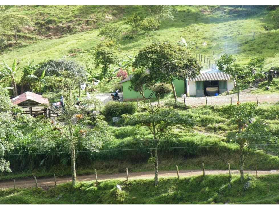 Finca En Abriaqui, Antioquia - Venta - 1