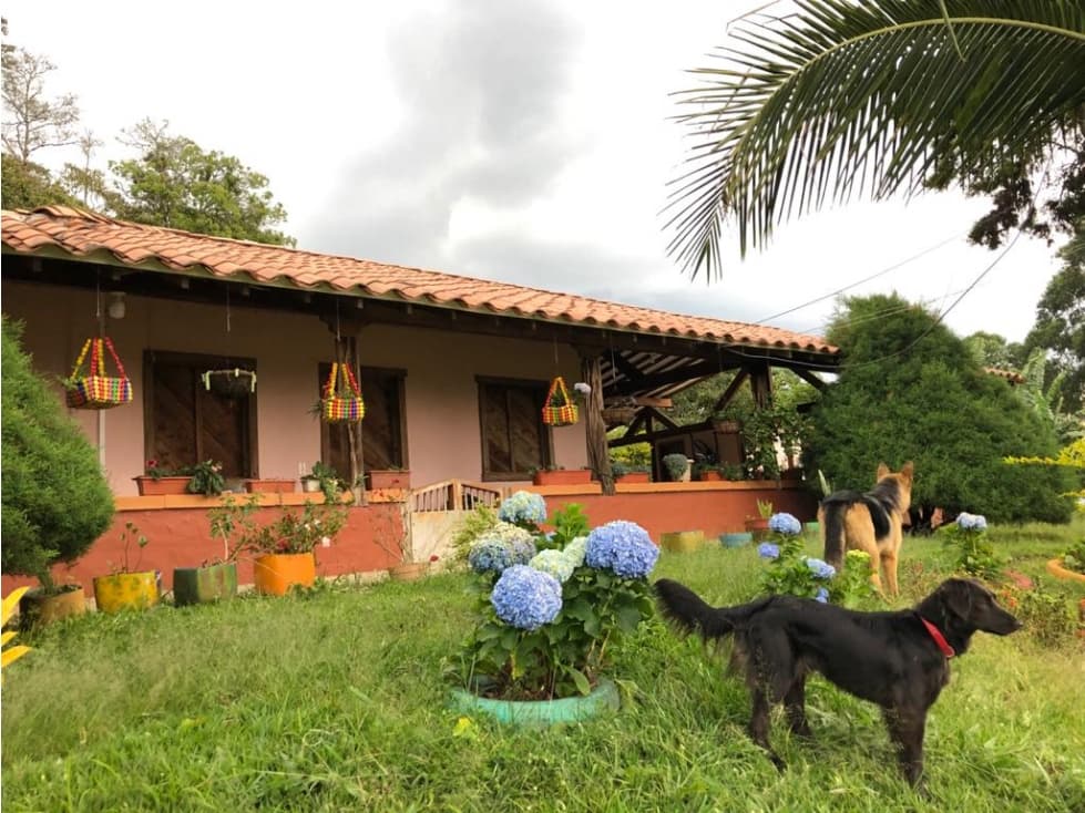 Finca en Fredonia - Venta - 1