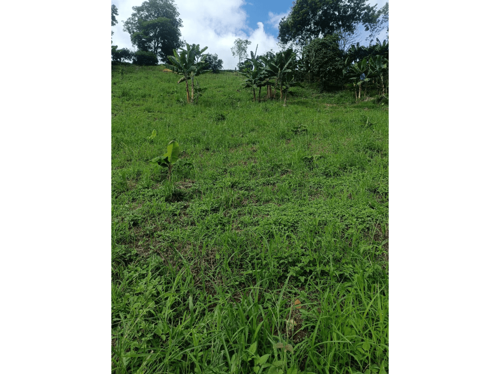 VENTA LOTE BUENAVISTA QUINDIO COLOMBIA-3207746921 - 1
