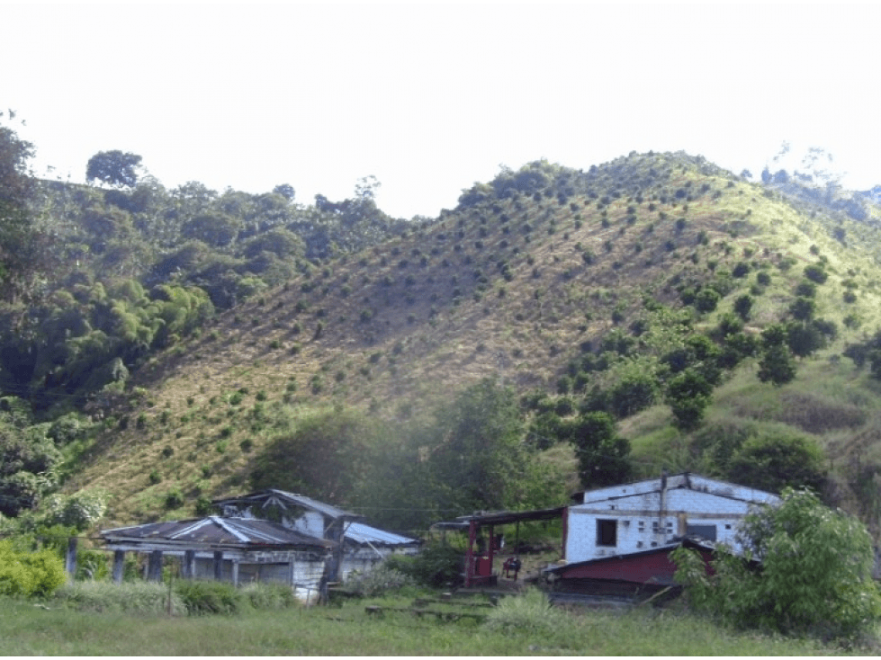 Venta Finca Buenavista Quindio - Colombia COD: 9271712 - 1