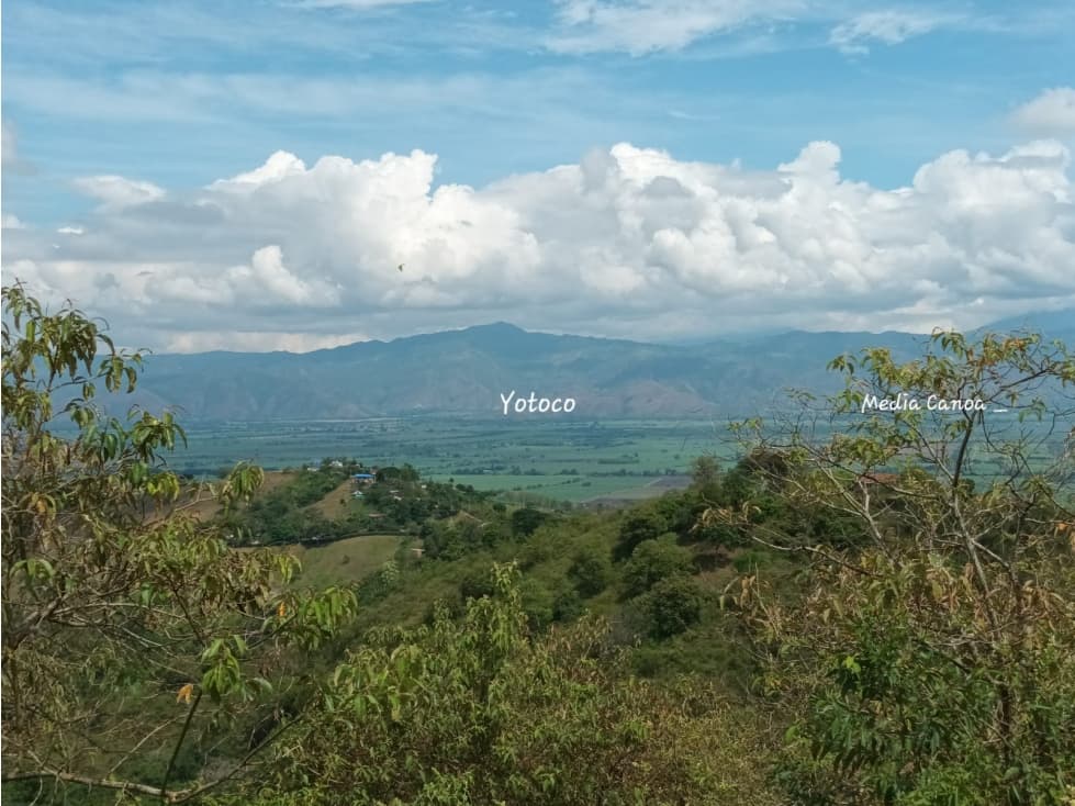 FINCA PRODUCTIVA GUACARI - 1