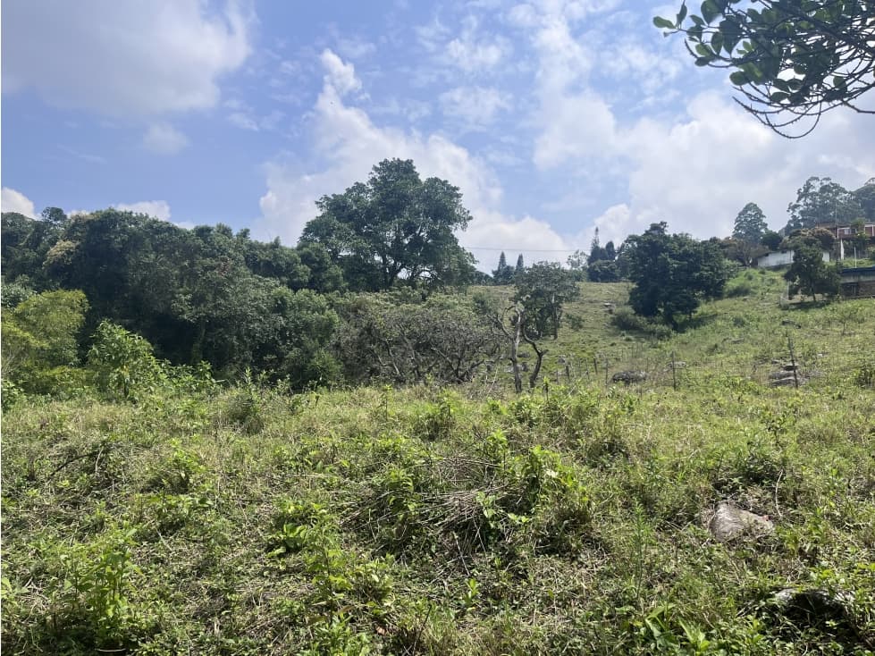 LOTE MEDIO DAPA - 1