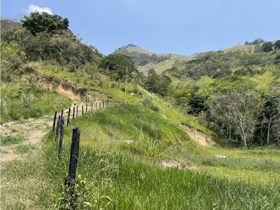 VENTA DE LOTE EN PARCELACION EN TITIRIBI ANTIOQUIA - 1