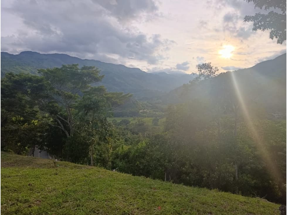LOTE CON MUY LINDA VISTA EN YOLOMBÓ A 8 KMS DE CISNEROS - 1
