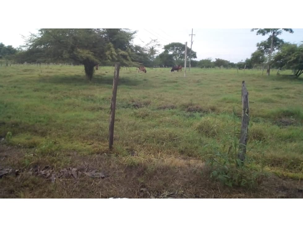 EN VENTA FINCA EN TARAZA ANTIOQUIA COLOMBIA - 1