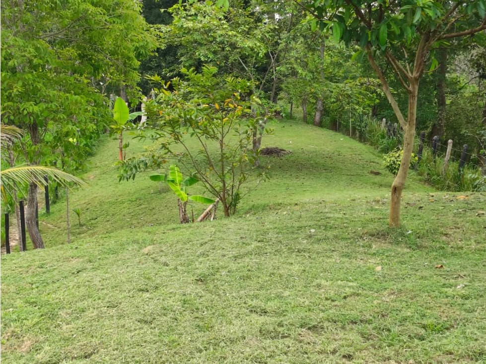 VENDO FINCA UBICADA EN CANALETE CÓRDOBA - 1
