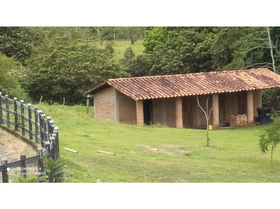 LOTE - 1