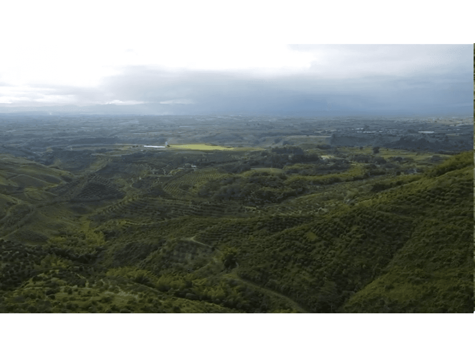 Se vende finca en el municipio de Buenavista Quindio Vereda Los Balsos - 1