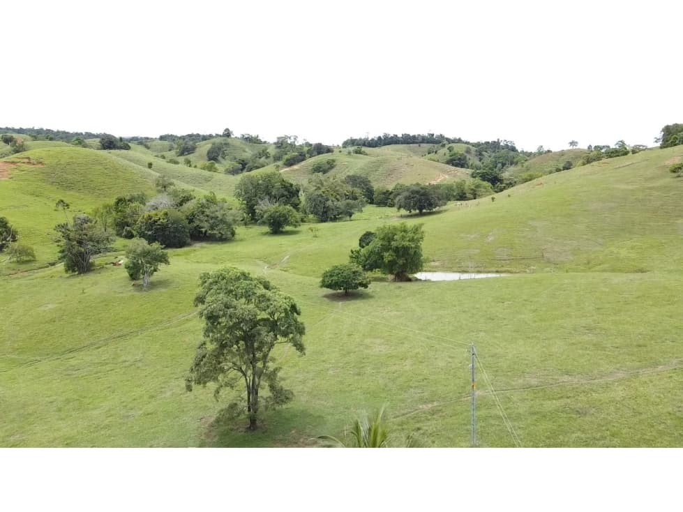 VENTA FINCA PUERTO BERRIO, ANTIOQUIA - 1