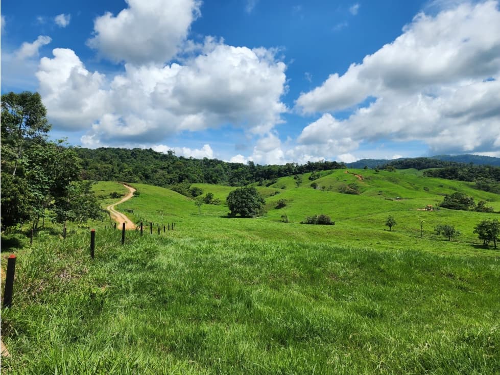 VENTA FINCA REMEDIOS INGRESANDO POR PUERTO BERRIO, ANTIOQUIA - 1
