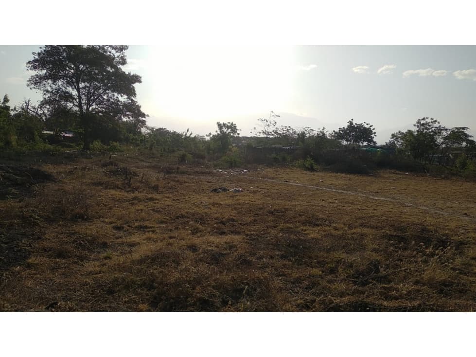 LOTE - 1
