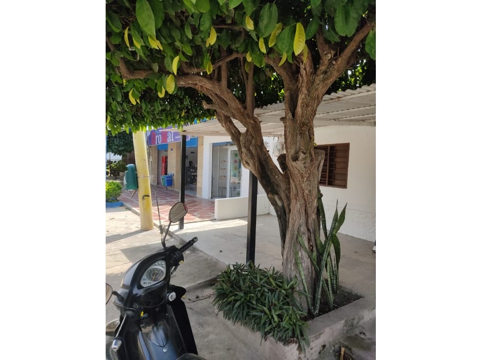 CASA-3321585 - 1