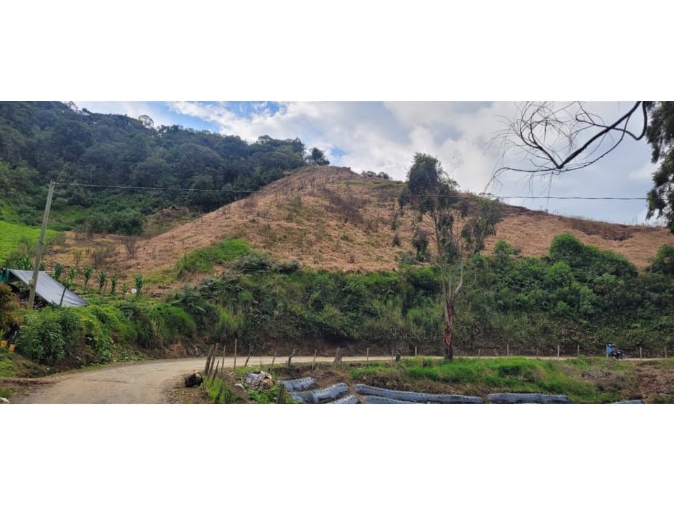 VENTA FINCA MULTIPROPOSITO 12.400M2 PRODUCCIÓN AGRICOLA LA UNION ANT. - 1