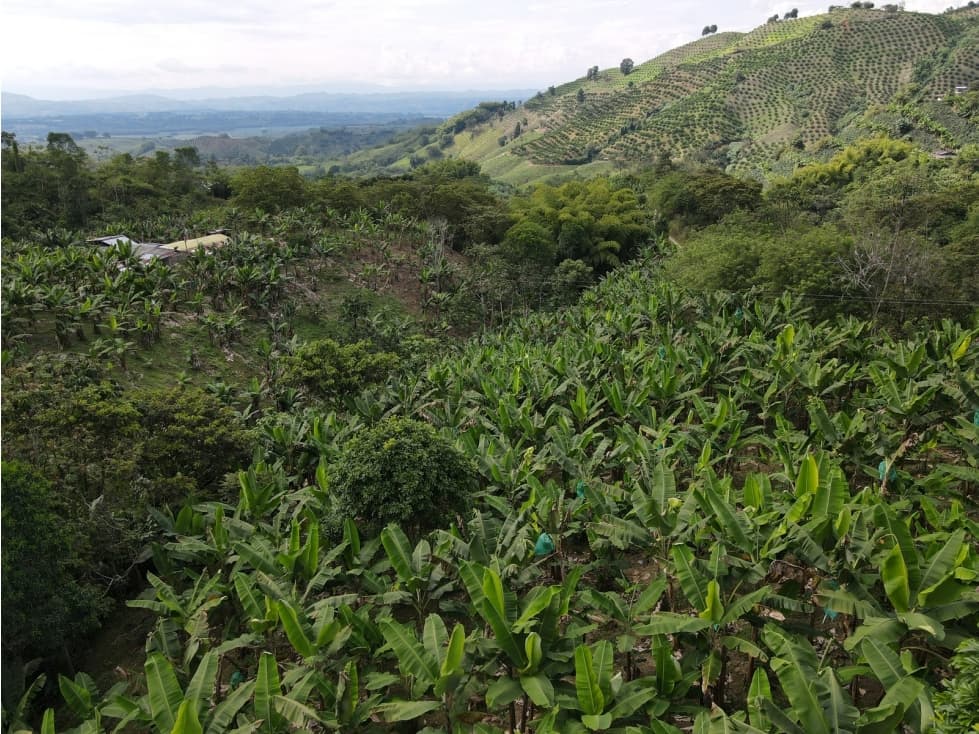 Se vende finca-lote cerca a Buenavista ideal para turismo o vivienda - 1