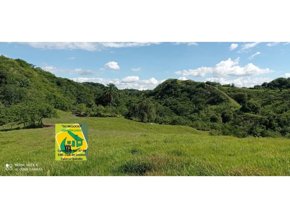 SE VENDE LOTE GANADERO A ORILLA DE CARRETERA EN OBANDO VALLE - 1