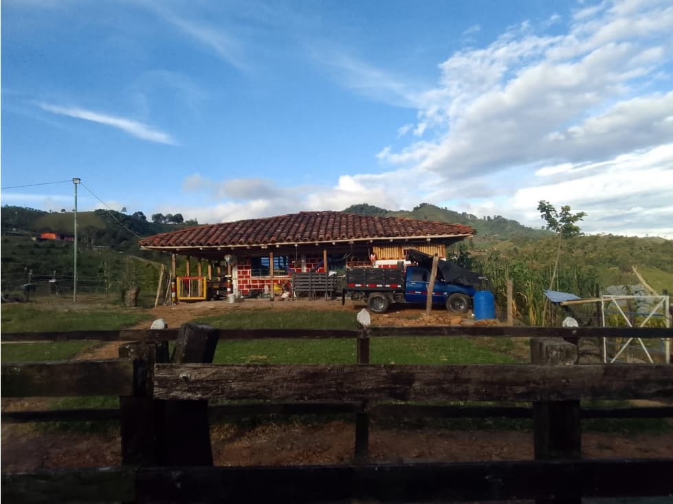 SE VENDE FINCA EN BOLIVAR VALLE DEL CAUCA 33 CUADRAS - 1