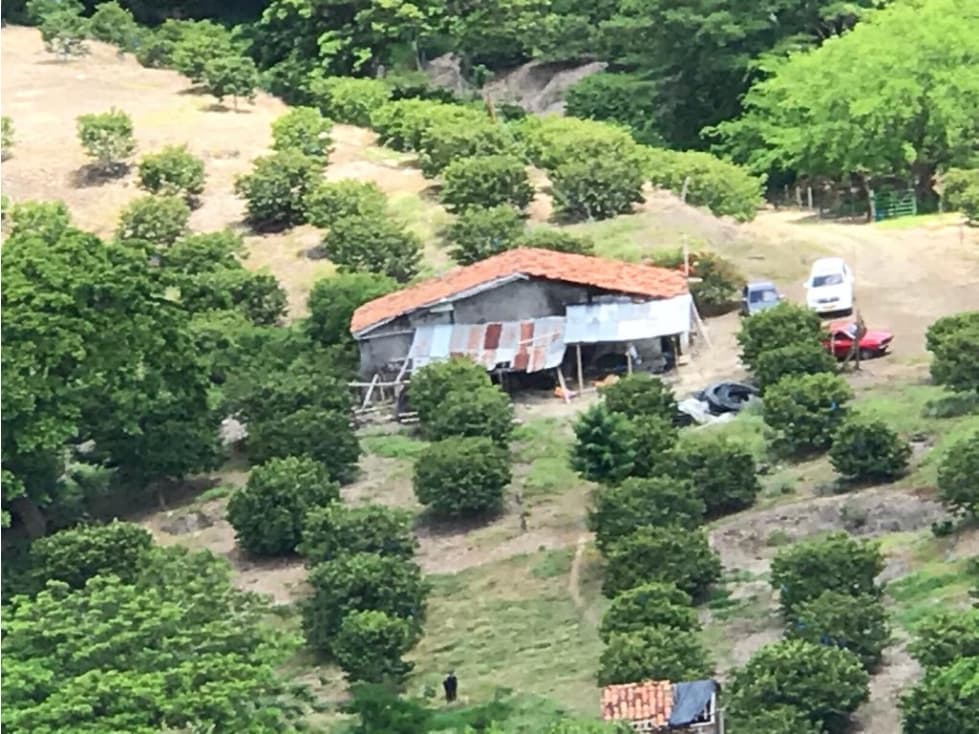 SE VENDE FINCA EN TORO VALLE - 1