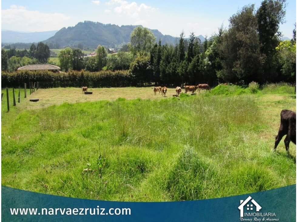 Vendo Lote 2.774 Mts en Tabio Rio Frio Occidental - 1