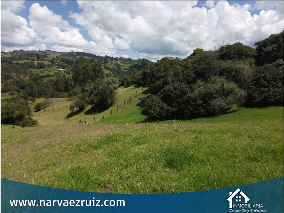 Vendo Lote de 5.560mts en Tabio Rio Frio Oriental - 1