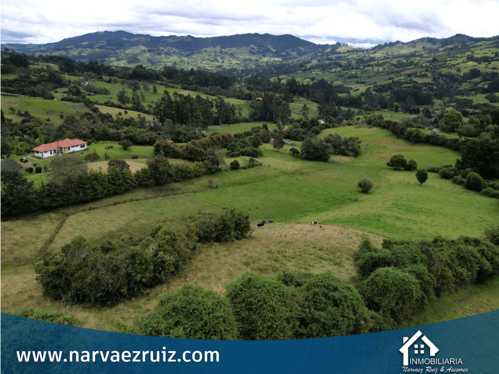 Vendo Finca de 2.5 Fanegadas en Tabio Rio Frio Occidental - 1