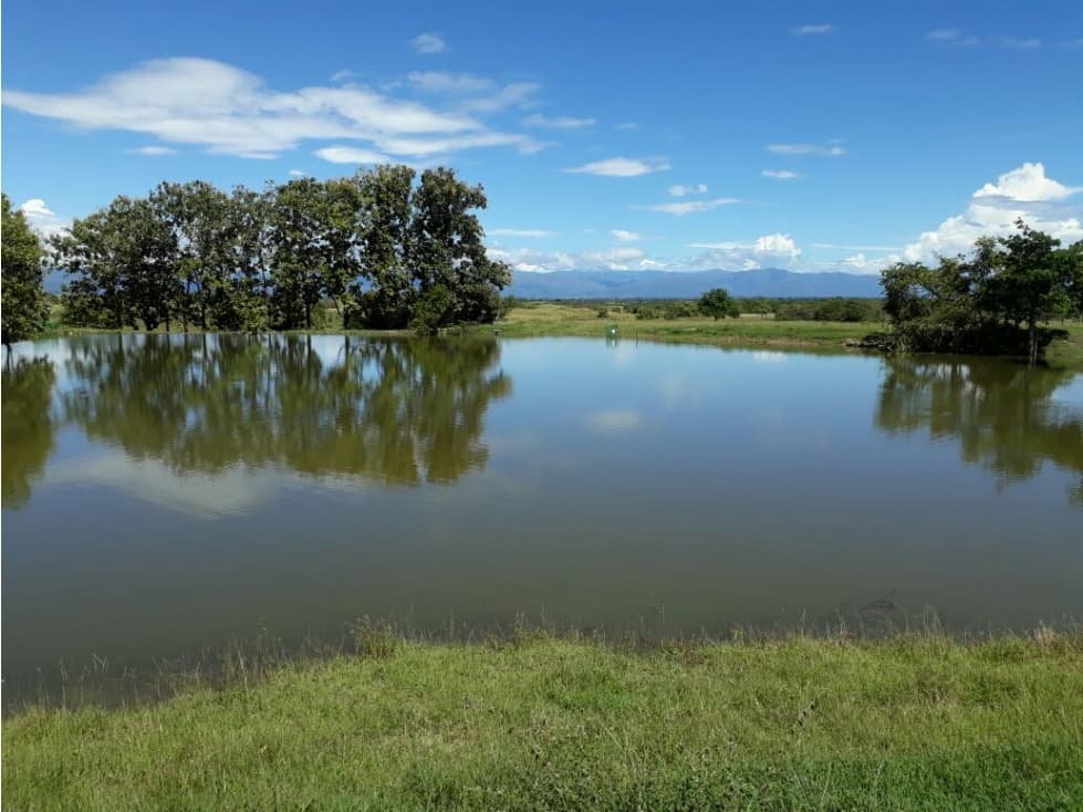 Finca en venta en Saldaña Tolima - 1