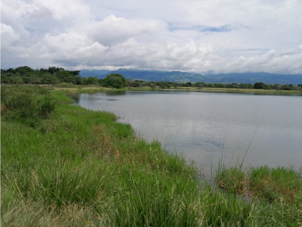 Finca en venta en Alvarado Tolima - 1