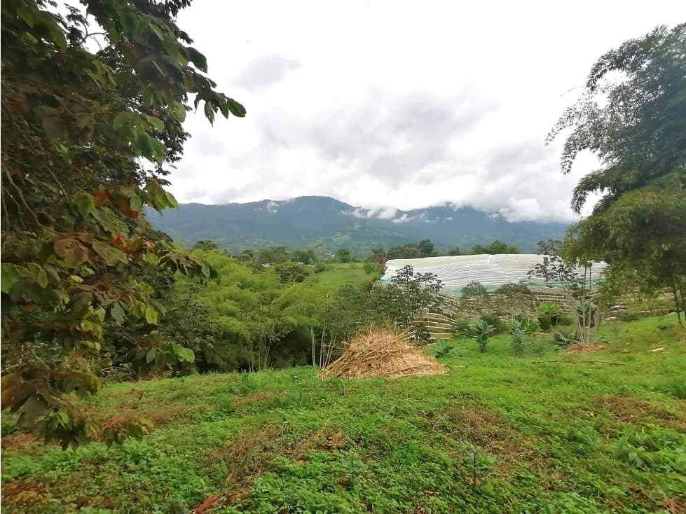 SE VENDE LOTE CAMPESTRE CONJUNTO RESIDENCIAL, CALARCA - 1
