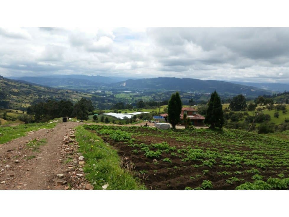 Se Vende Finca De 20 Cuadras En Cundinamarca - 1