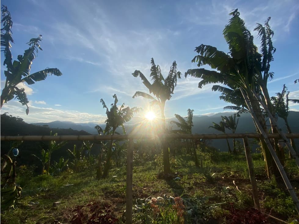 Se vende Finca Alban Valle del Cauca - 1