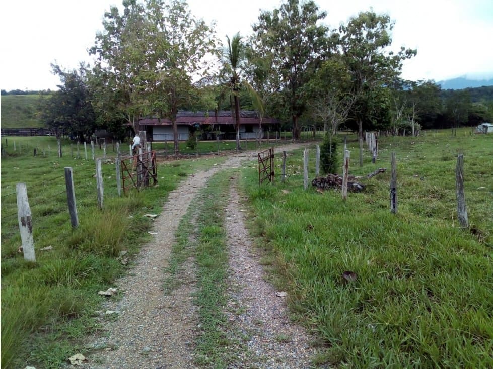 Se vende Finca Ganadera en Puerto Boyacá - 1