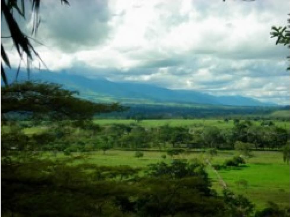 Se vende Finca Puerto Carreño Vichada Colombia - 1
