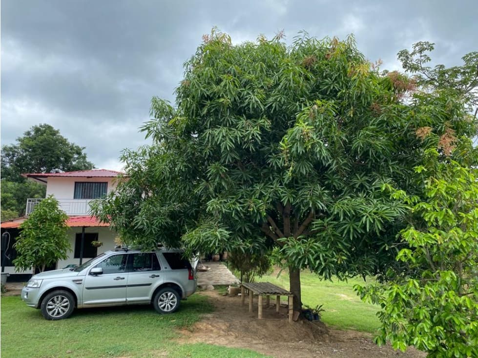 AGUA DE DIOS - FINCA DE PRODUCCION EN VENTA - 1