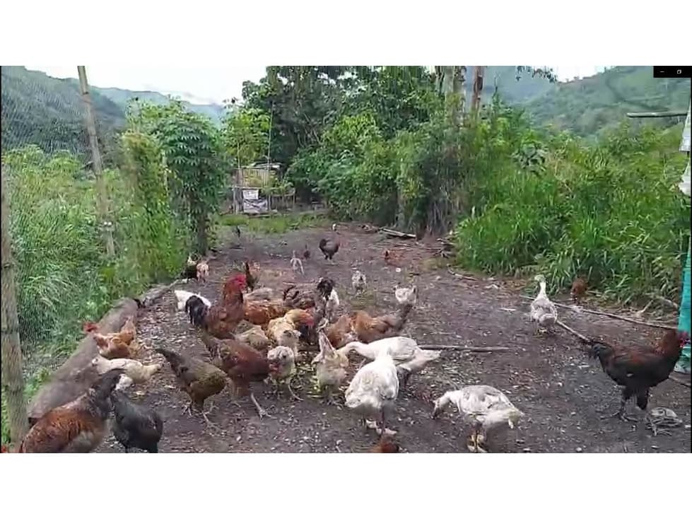 FINCA EN VENTA EN YACOPI CUNDINAMARCA - 1