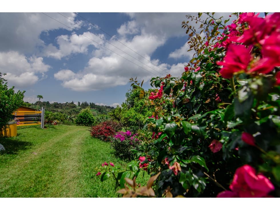 Venta Lote La cumbre-ventura - 1