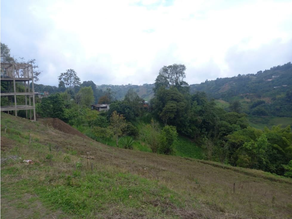 SE VENDE LOTE DE 54M EN VILLAMARIA, CALDAS - 1